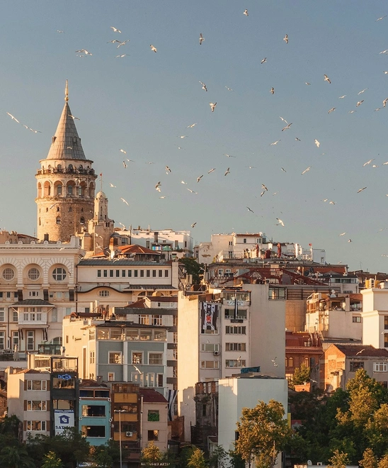 turkey