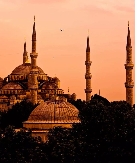 turkey