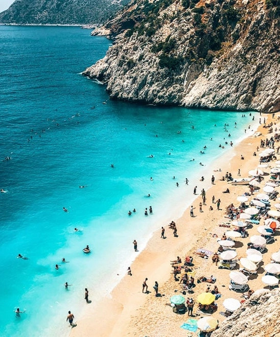 turkey