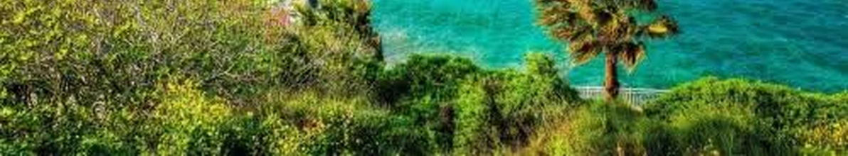 header