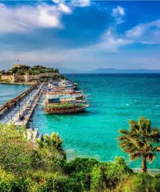 turkey