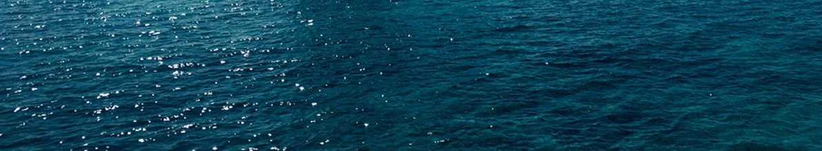 header